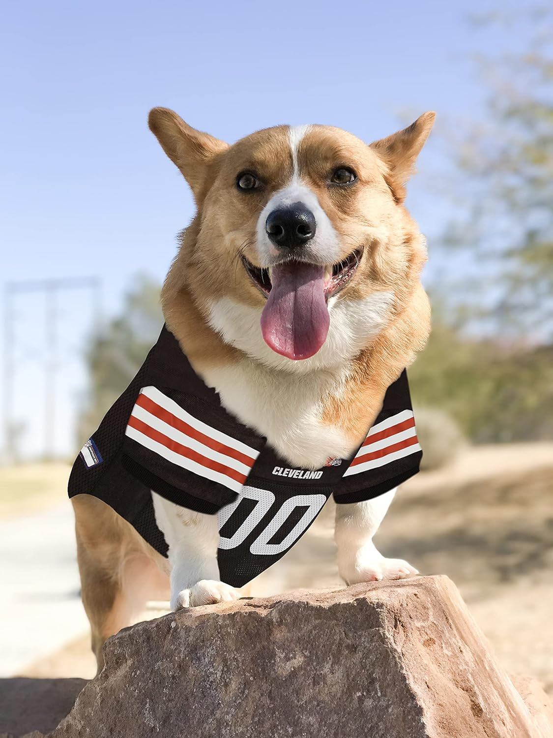 NFL Cleveland Browns Dog Jersey, Size: Medium. Best Football Jersey Costume for Dogs & Cats. Licensed Jersey Shirt