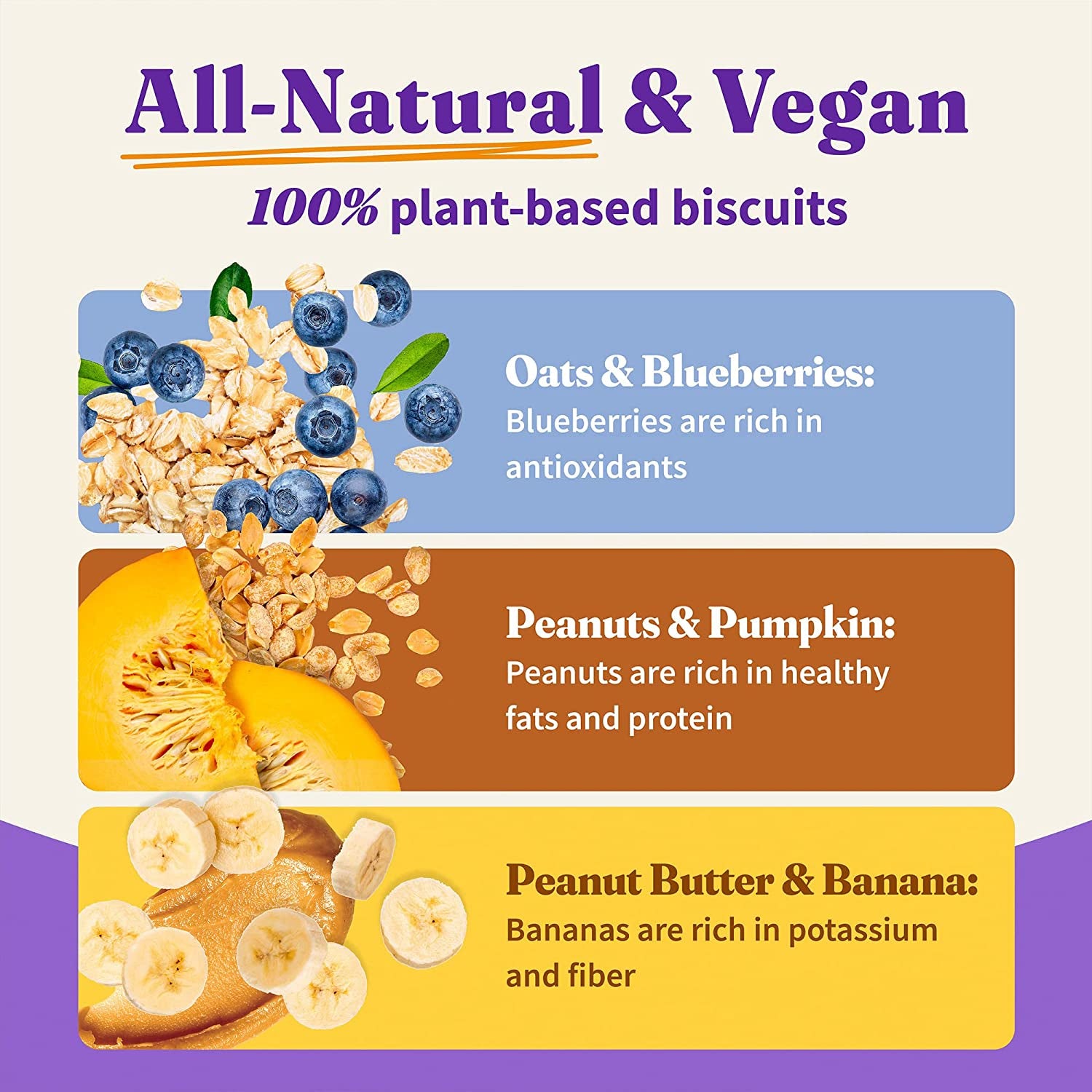 Holistic Vegan Dog Treats Variety Pack, Plant-Based Three Bag Treat Pack with Oats & Blueberries, Peanut Butter & Banana, Peanuts & Pumpkin, 8 Oz Bag(Pack of 3)