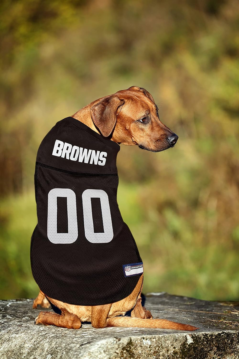 NFL Cleveland Browns Dog Jersey, Size: Medium. Best Football Jersey Costume for Dogs & Cats. Licensed Jersey Shirt